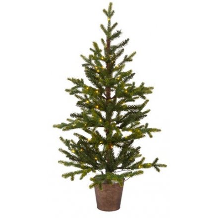 Potted Queensland Tree With LEDs, 45cm 