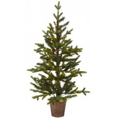 A stunningly simple potted Queensland Mini Tree complete with fitted LED lights, perfect for bringing to your home inter