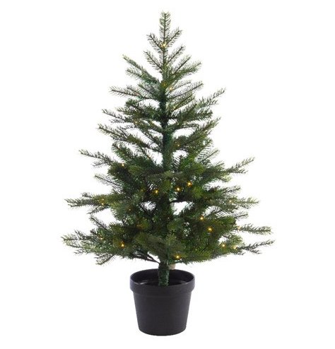 A fabulous full festive potted grandis tree,  perfect for dressing with your own accessories. Suitable for outdoor use o