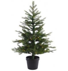 A stunningly simple potted Grandis Tree complete with fitted LED lights, perfect for bringing to your outside spaces 