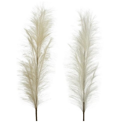 A mix of natural toned pampas stems, perfect for adding a boho look to any festive features