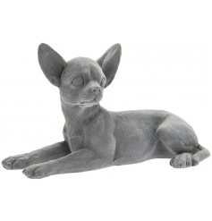 Sure to bring a striking look to your home, a laying posed Chihuahua ornament complete with a grey velvet decal 