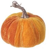 A bright orange toned velvet pumpkin with an added curled stalk in a rustic setting