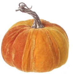A bright orange toned velvet pumpkin with an added curled stalk in a rustic setting