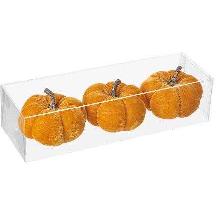 Set of 3 Velvet Orange Pumpkins 