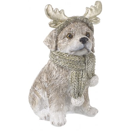 Dog in Antlers