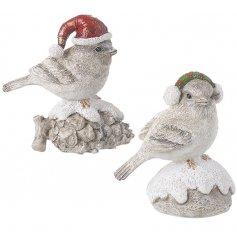 Charming little resin bird decorations that are perfect for bringing a Traditional touch to your home at Christmas Time 