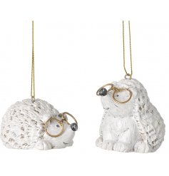 Sure to bring a cute touch to your tree display at Christmas Time, a mix of posed hedgehogs complete with gold spectacle