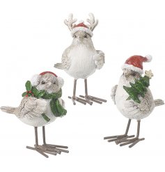  An assortment of festive standing bird figures, each posed with a Christmas accessory 