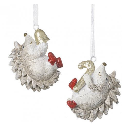 A festive mix of hanging posed hedgehog characters, both dressed up in booties and sprinkled with glitter 