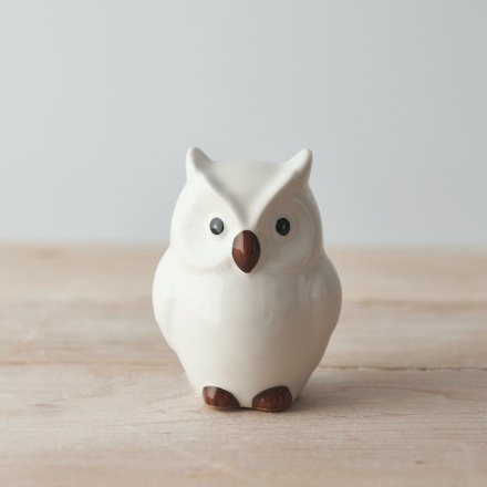 A ceramic based owl set with simplistic features minimal detailing 