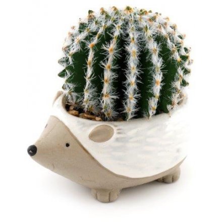 Hedgehog With Cactus, 12cm 