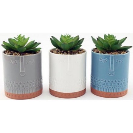 Facial Embossed Pots With Succulents, 15cm 
