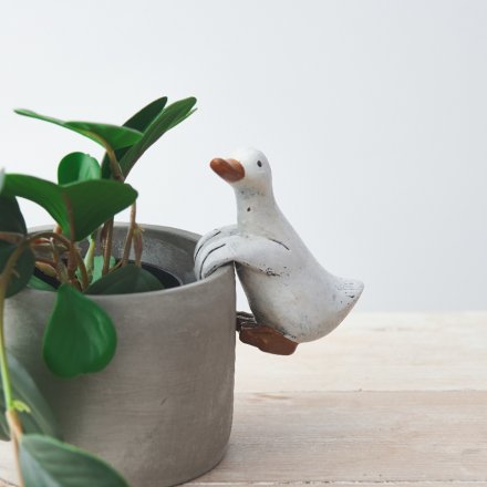 Perfect for adding a delightful touch to your planters and pots, a edge hanging ducky with rustic touches 