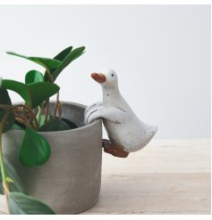 An adorable pot hanging duck figure with a rustic feature and cute charm 