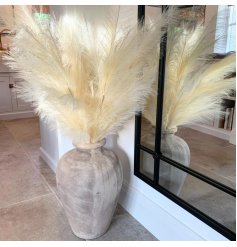A stunningly simple full pampas stem in a natural toned colouring 