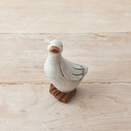 An adorable posed duck in white tones