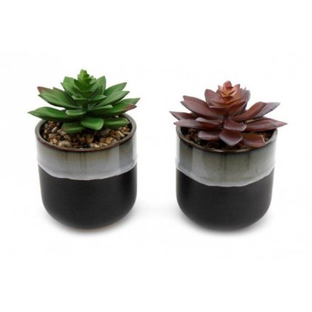 Smoked Grey Succulent Pots, 13cm 