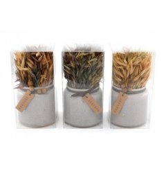Natural Grasses In Ceramic Pot