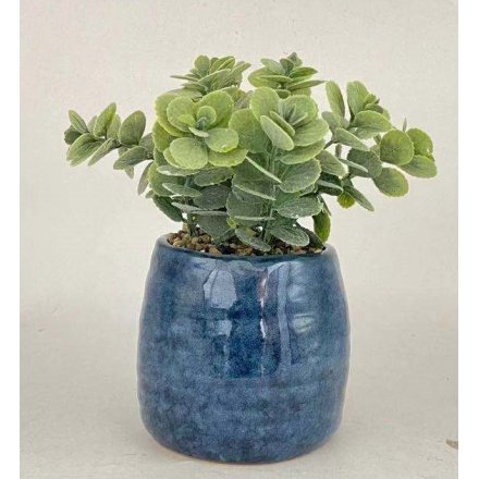 Artificial Succulent In Blue Pot, 22.5cm 