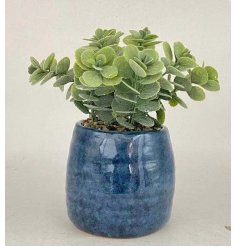 An artificial succulent set within a smooth ceramic pot featuring a desirable navy blue hue 