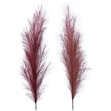 XL Pampas Grass, Aubergine & Dark Red - 130cm