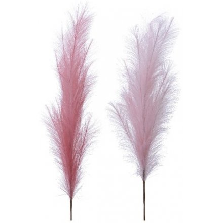 XL Pampas Grass, Soft Pink & Velvet Pink - 130cm