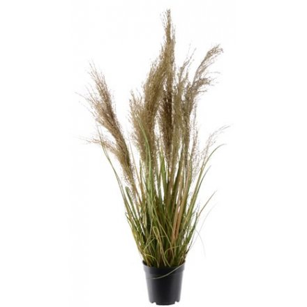 Large Artificial Potted Grass Plant with Plumes, 85cm