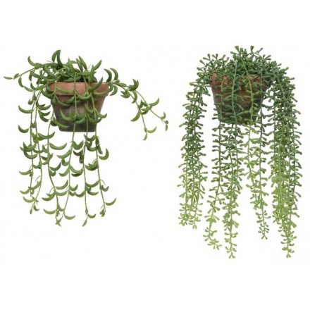 Two Assorted Hanging Artificial Plants, 32cm