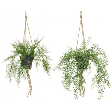 Two Assorted Hanging Artificial Plants, 38cm