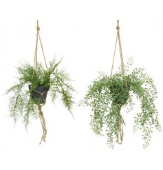 An assortment of hanging baskets, each filled with artificial hanging shrubs and succulents 