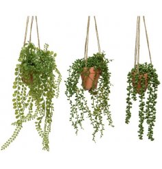 An assortment of hanging baskets, each filled with artificial hanging shrubs and succulents 