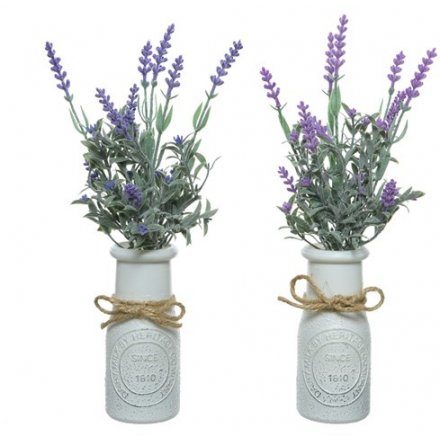 A mix of 2 potted Artificial Lavender Plants complete with added leaves and potted in a distressed vintage bottle.