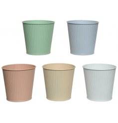Five pastel colour metal planters, sure to liven up any garden or paved area. 