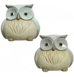 Assorted colours of grey blue and green blue. These owls will be a charming feature to any home, kitchen or garden. 