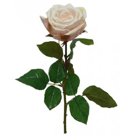 A beautiful rose, with real feel petals. This will look stunning alone or paired with grasses and flowers.