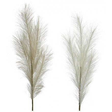 2 Assorted Pampas Grass, White & Grey - 80cm