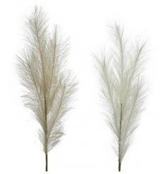 Pampas is the in trend grass to have in your vases, jugs and accessories within your house,  garden or porch. 