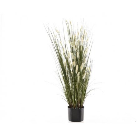 Grace your room with a zest of colour with this artificial cat tail grass plant.