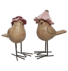 An Assortment of Two Birds in Pink Flower Hats