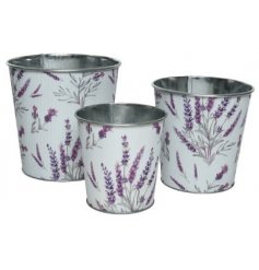 Three Iron Round Planters in a Gorgeous Lavender Design