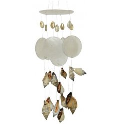 Natural Looking Sea Shell Windchime