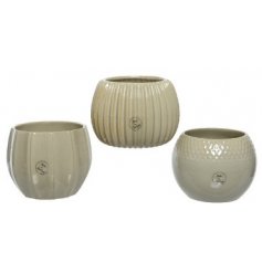 An Assortment of Three Planters in Stoneware , 13cm