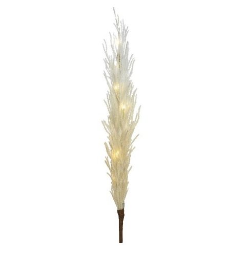 Make a statement with this stunning light up pampas grass. A great quality artificial stem. A must have interior item.