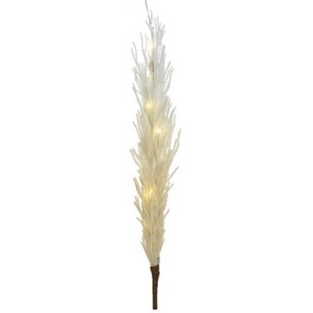 XL LED Plume In White, 80cm Pampas