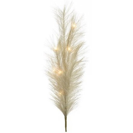 Fluffy LED Pampas Grass, 70cm