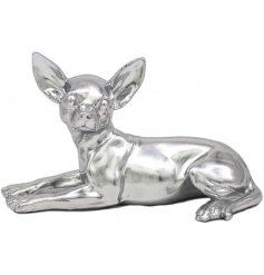 Silver Art Chihuahua Lying