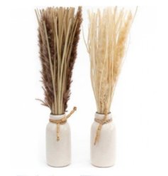 An assortment of Two, Dried Flowers with a Beige Vase, 40cm