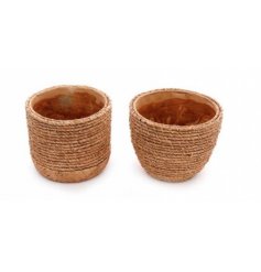 An assortment of Two Planters in Rope Design