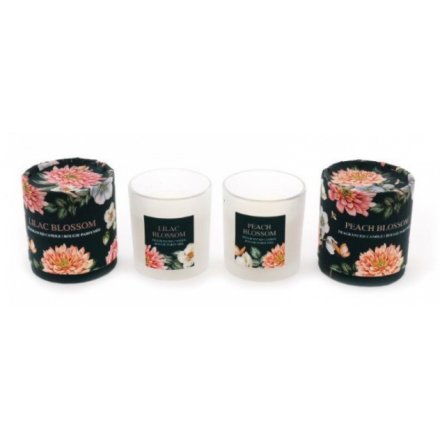 Assorted Blossom Botanical Candles